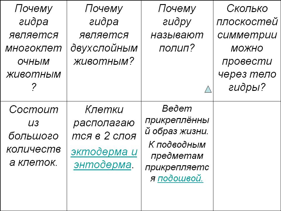 Сайт кракена актуальный