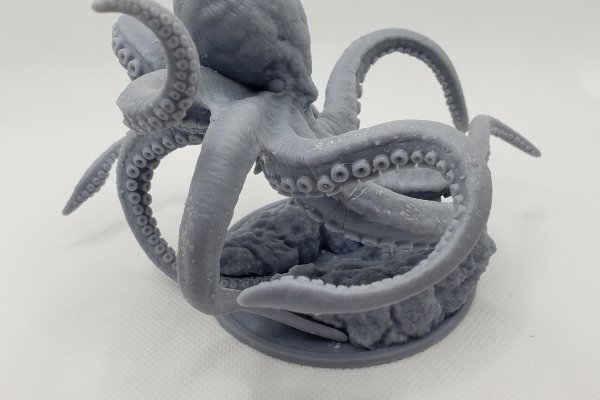 Kraken 5at