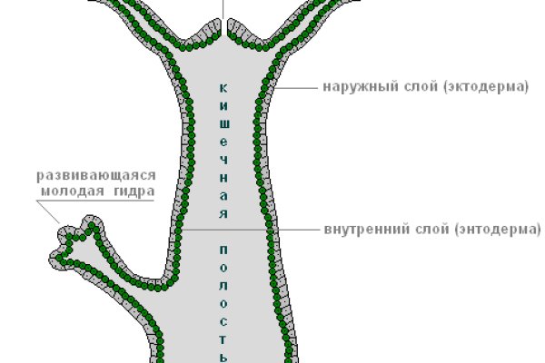 Kra33.at