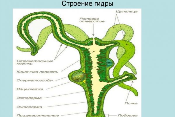 Kraken смылка