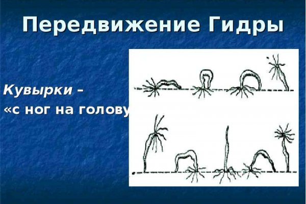Кракен маркетплейс откуда взялся