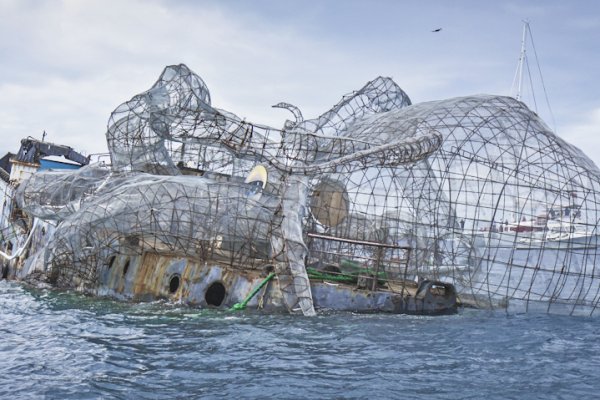 Kraken20 at