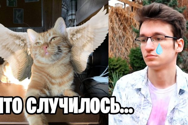 Кракен зеркало ссылка онлайн