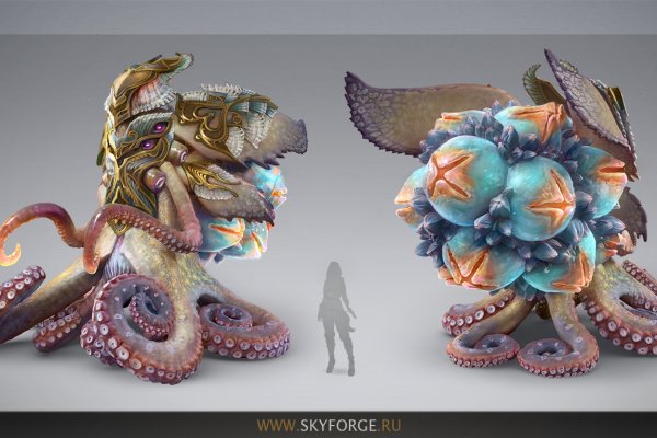 Kraken place