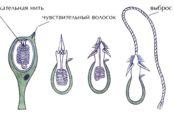 Кракен даркнет регистрация