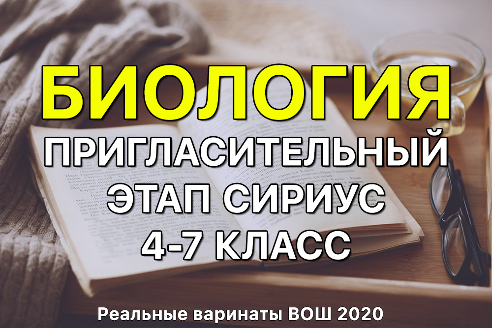 Как зайти на кракен браузеры